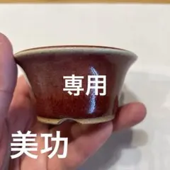 2026年最新】美功鉢の人気アイテム - メルカリ