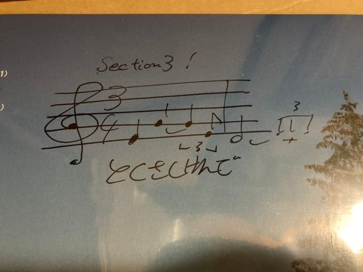 とくさしけんご MUSIC FOR SAUNA サイン付きレコード 特典付き